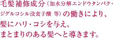 毛髪補修成分（加水分解エンドウタンパク・ジグルコシル没食子酸 等）の働きにより、髪にハリ・コシを与え、まとまりのある髪へと導きます。