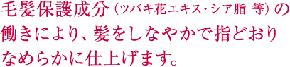 毛髪保護成分（ツバキ花エキス・シア脂 等）の働きにより、髪をしなやかで指どおりなめらかに仕上げます。