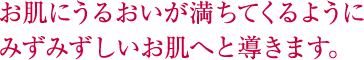 お肌にうるおいが満ちてくるようにみずみずしいお肌へと導きます。