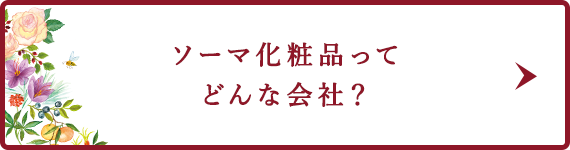 防腐剤・合成界面活性剤・合成酸化防止剤・鉱物油・殺菌剤・合成着色料　無配合